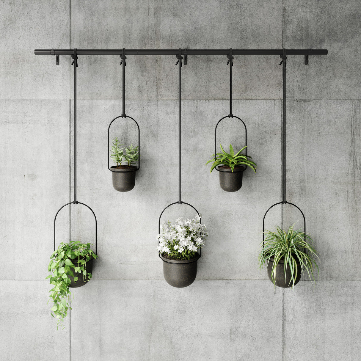 TRIFLORA 5 HANGING PLANTER