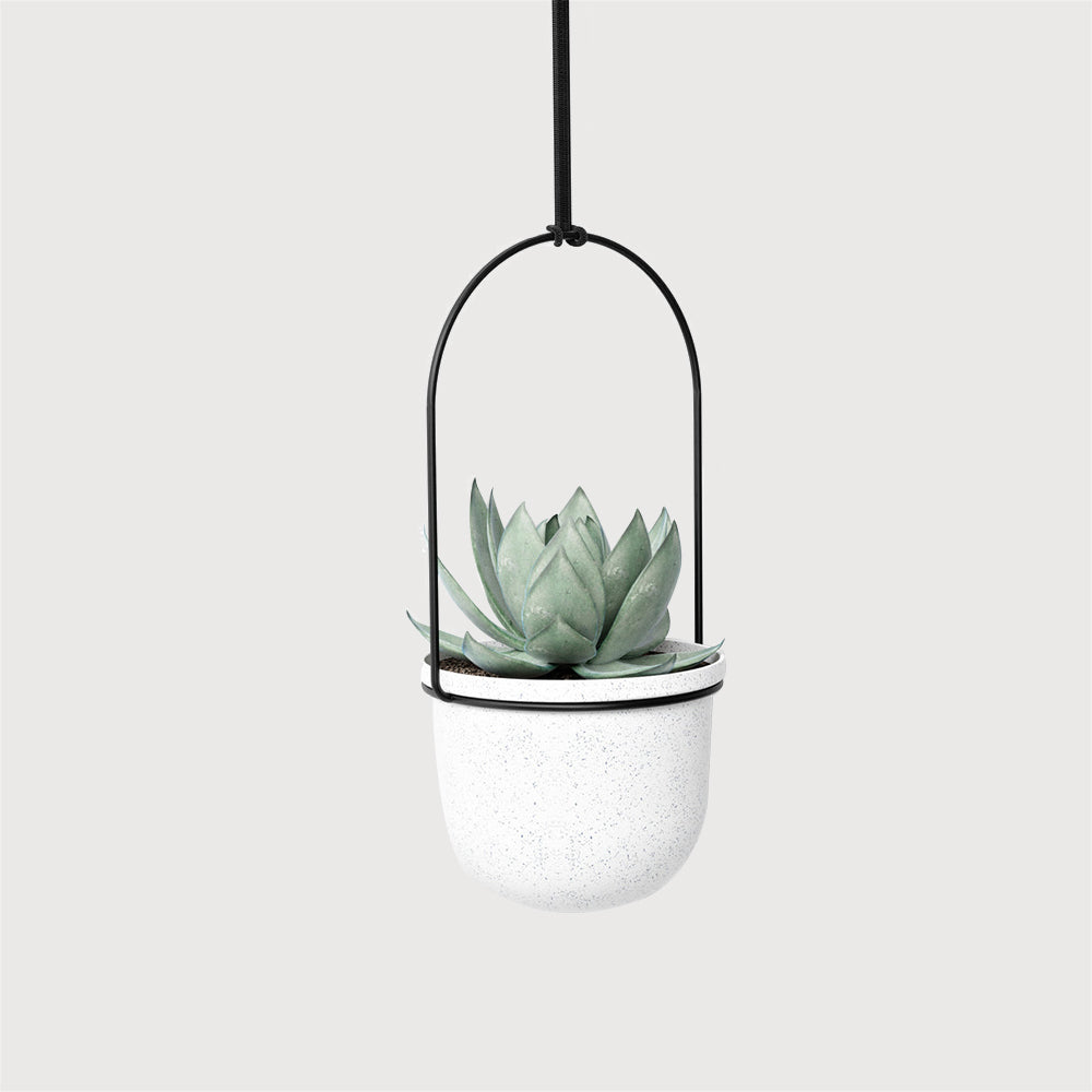 TRIFLORA 5 HANGING PLANTER