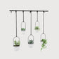 TRIFLORA 5 HANGING PLANTER