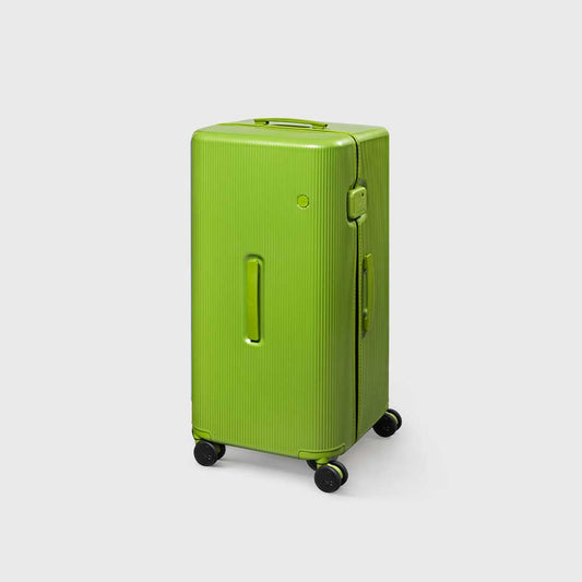 PISTACHIO STRIPED 2 TRUNK / ECTOTHERM GREEN