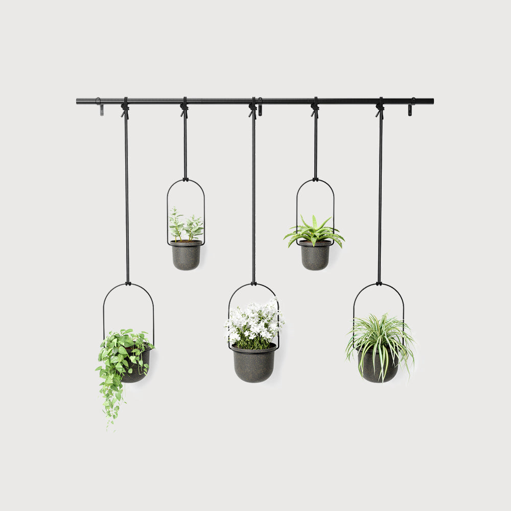 TRIFLORA 5 HANGING PLANTER