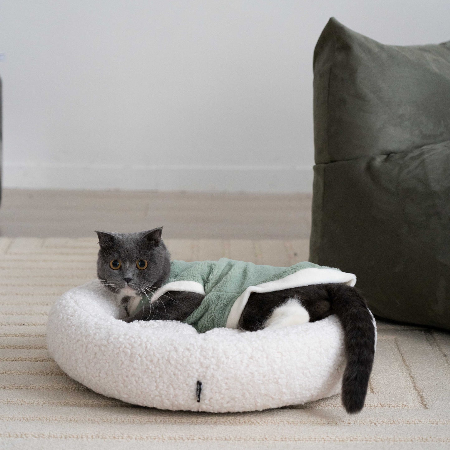 XO Pet Bed