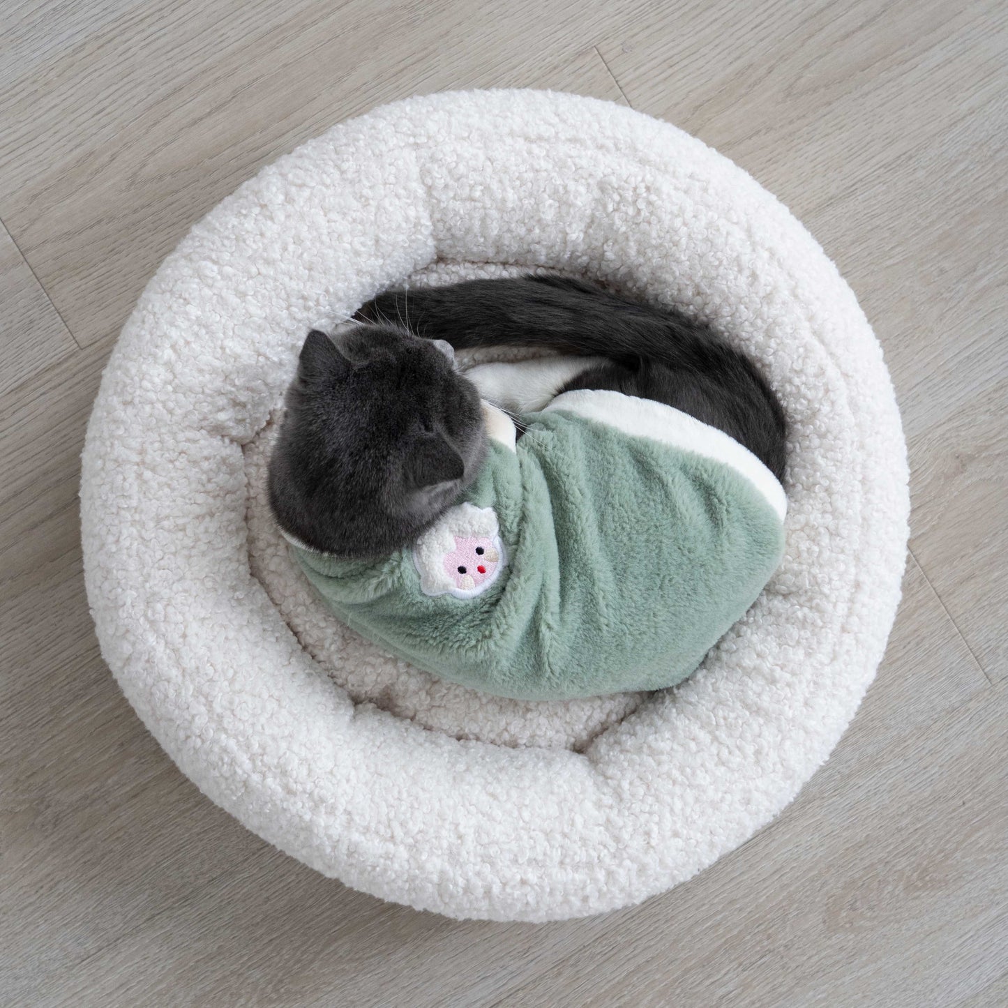 XO Pet Bed